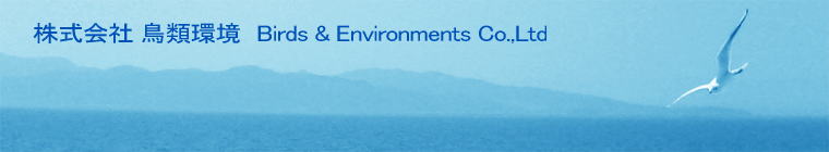 株式会社 鳥類環境　Birds & Environments Co.,Ltd